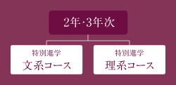 特別進学コース 2年次3年次